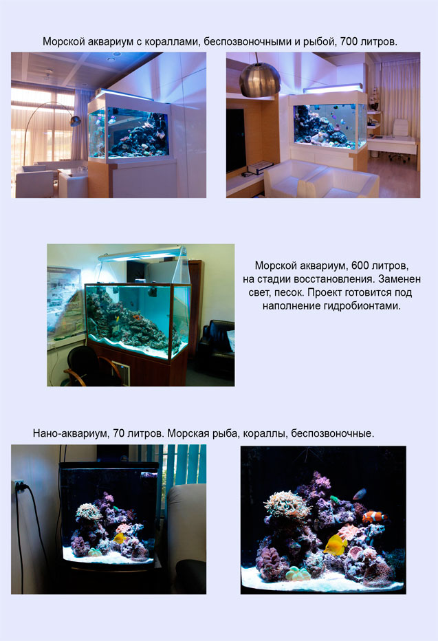 Central_Reef_Service Central_Reef_Service
