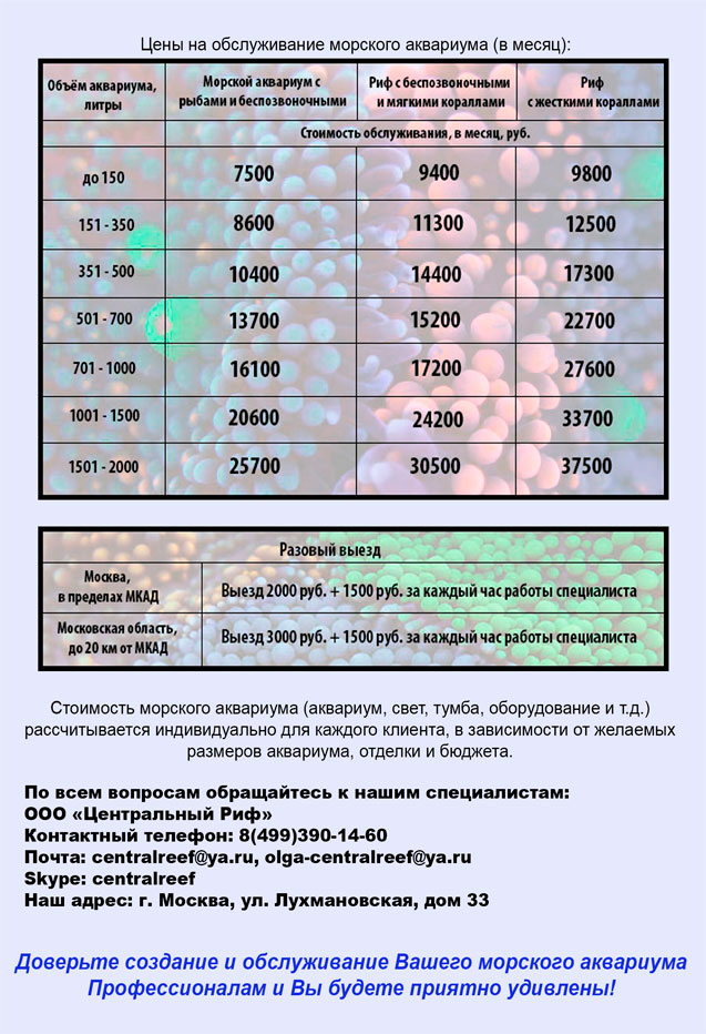 Central_Reef_Service Central_Reef_Service