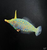 Картина Oxymonacanthus longirostris 30x30