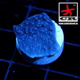 Montipora CR White Walker
